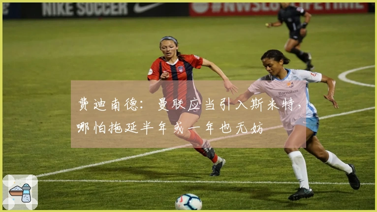 费迪南德：曼联应当引入斯米特，哪怕拖延半年或一年也无妨