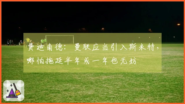 费迪南德：曼联应当引入斯米特，哪怕拖延半年或一年也无妨